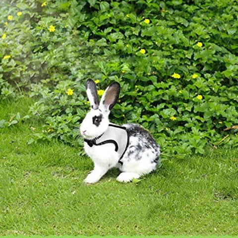 Rabbit Harness Vest - The Savvy Pets