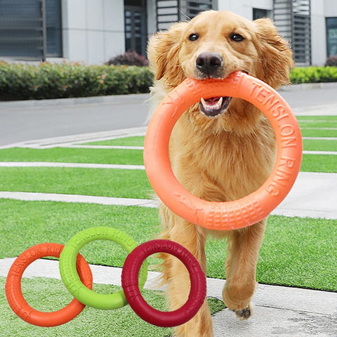 Dog Training Ring Puller Toy - The Savvy Pets