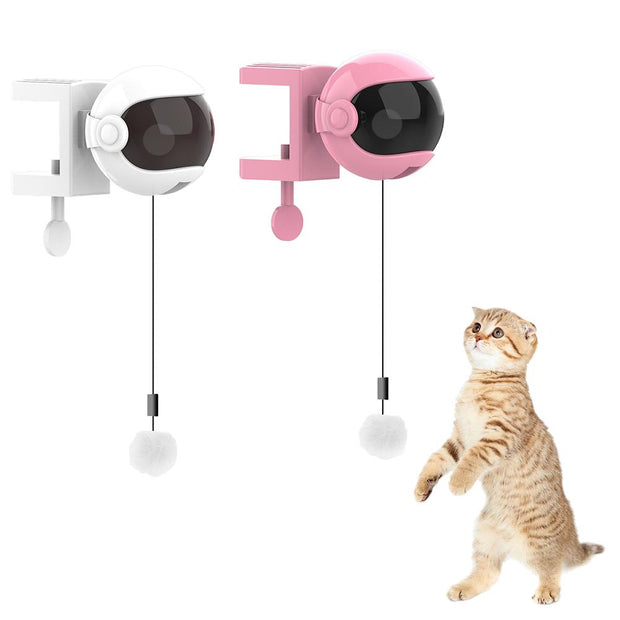 New Electric Ball Cat Toy - The Savvy Pets