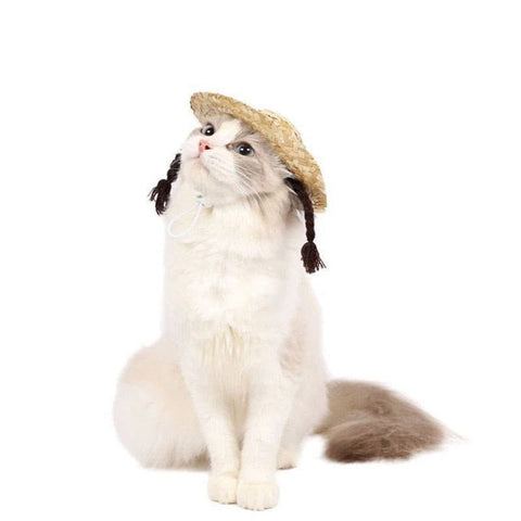 Pet Woven Straw Hat for Cat - The Savvy Pets