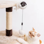 New Electric Ball Cat Toy - The Savvy Pets