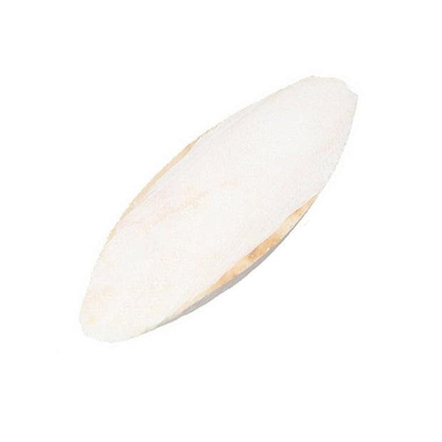 10Pcs Cuttlefish Bone For Parrot Toys