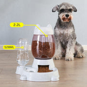 2 IN 1 Pet Water Bottle & Food Dispenser - The Savvy Pets