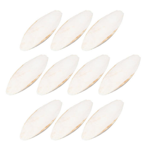 10Pcs Cuttlefish Bone For Parrot Toys