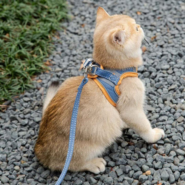 Cat Harness Leash Set - The Savvy Pets