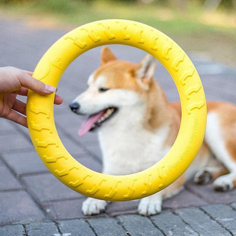 Dog Training Ring Puller Toy - The Savvy Pets