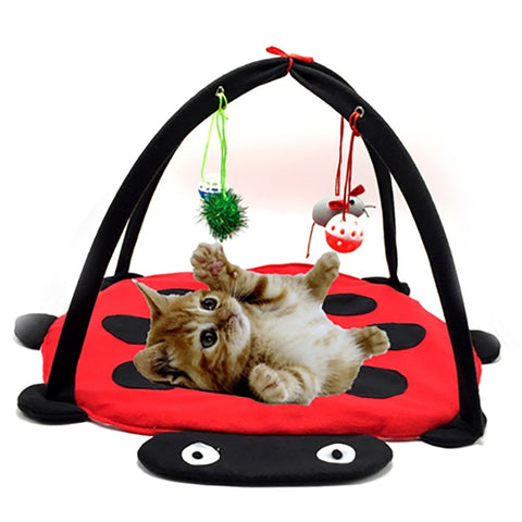 Portable Pet Cat Tent Toys Bed - The Savvy Pets