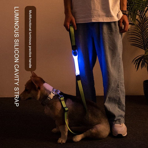 Led Pet Dog Safety Collar - The Savvy Pets