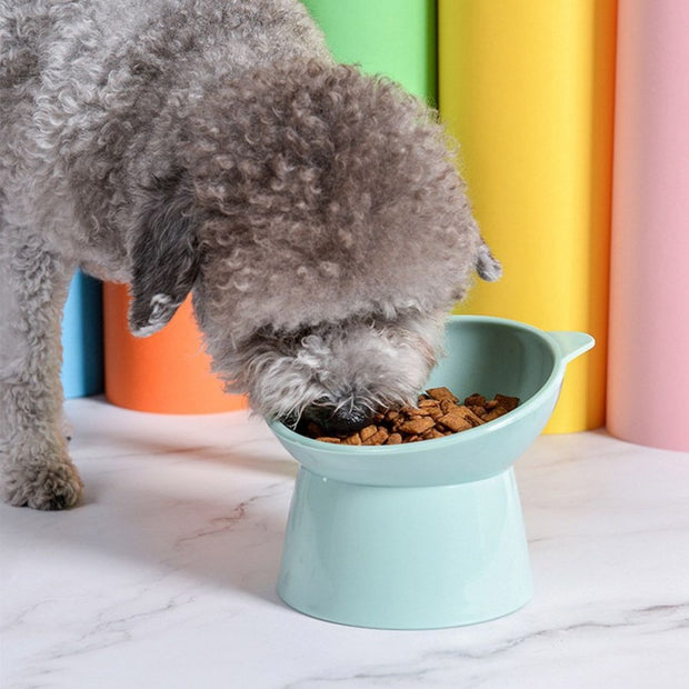 Pet Dog Feeding Cup - The Savvy Pets