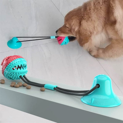 Dog Interactive Elastic Ball Toy - The Savvy Pets