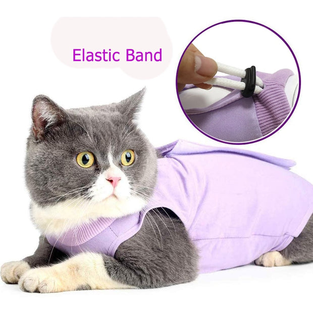 Cat Recovery Jumpsuit - The Savvy Pets