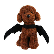 Bat Wings Cat Costume - The Savvy Pets