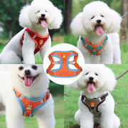 Pet Dog Harness Vest Set - The Savvy Pets