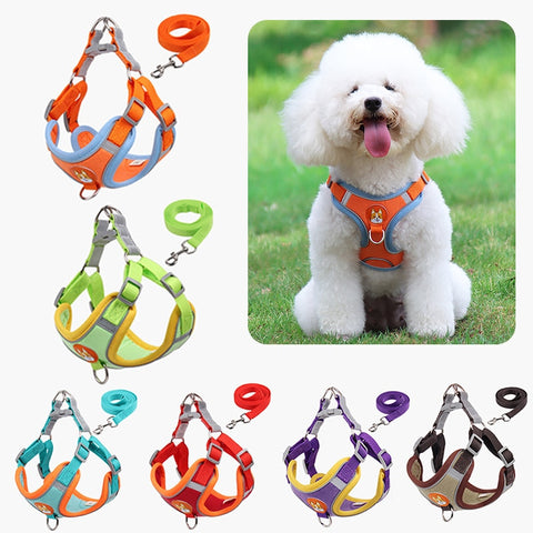 Pet Dog Harness Vest Set - The Savvy Pets