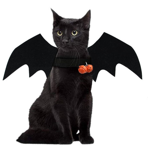 Bat Wings Cat Costume - The Savvy Pets