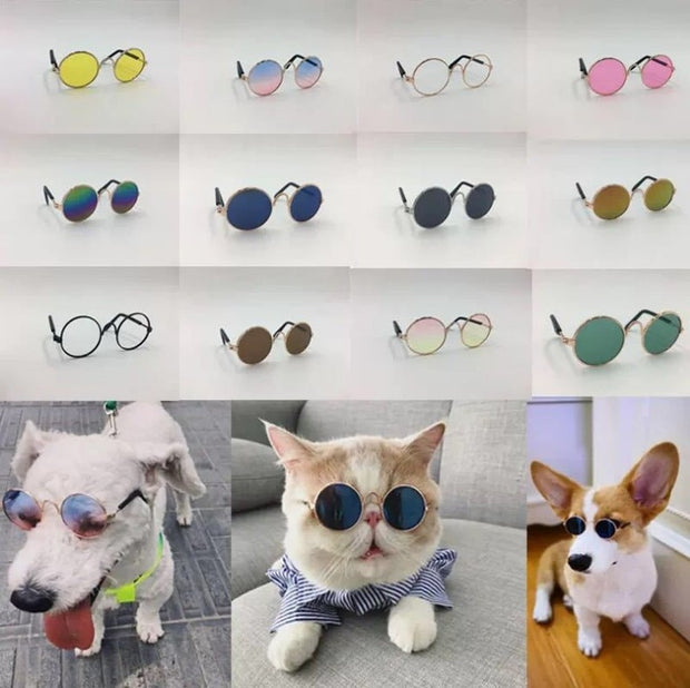 Pet Cat Dog Glasses Eyewear - The Savvy Pets