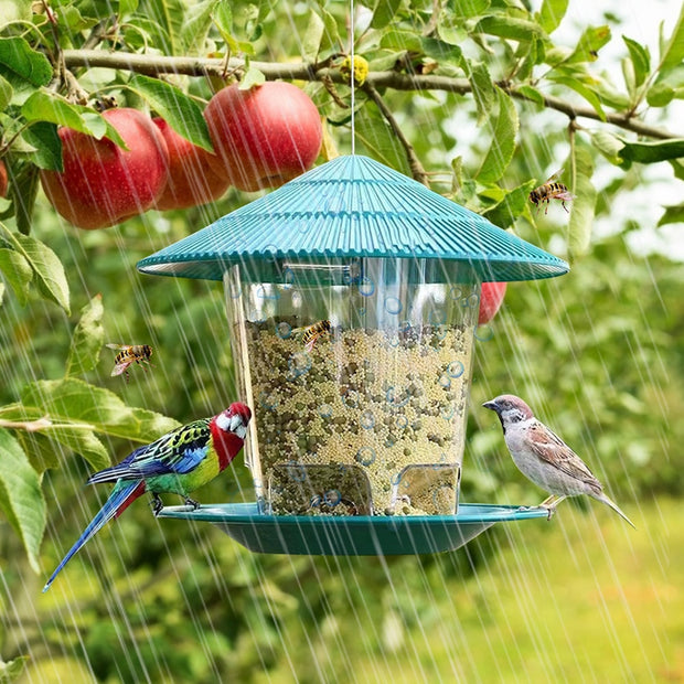 Bird Automatic Foot Feeding Tool