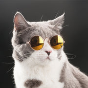 Pet Cat Dog Glasses Eyewear - The Savvy Pets