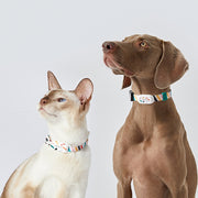 Smart Pet GPS Tracker Collar - The Savvy Pets