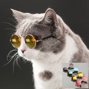 Pet Cat Dog Glasses Eyewear - The Savvy Pets