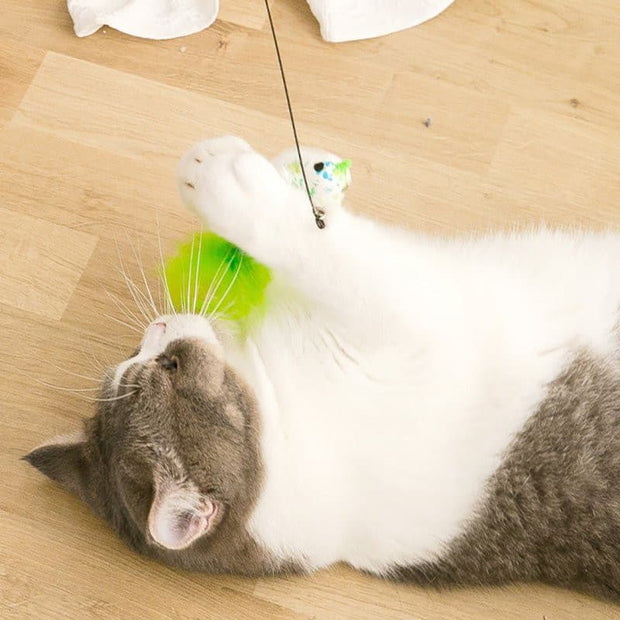 Feather Bird with Bell Cat Stick Toy - The Savvy Pets