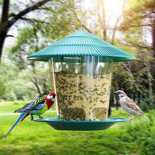 Bird Automatic Foot Feeding Tool