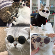 Pet Cat Dog Glasses Eyewear - The Savvy Pets