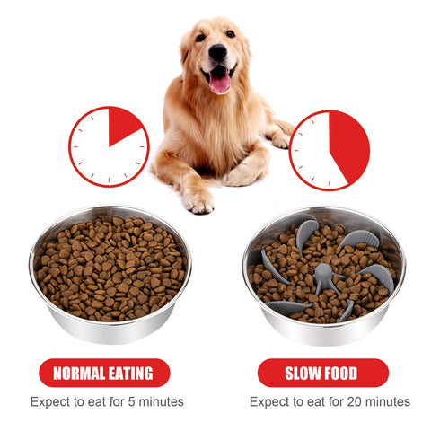 Pet Anti Choke Dog Spiral Slow Feeder