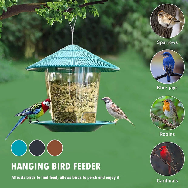 Bird Automatic Foot Feeding Tool