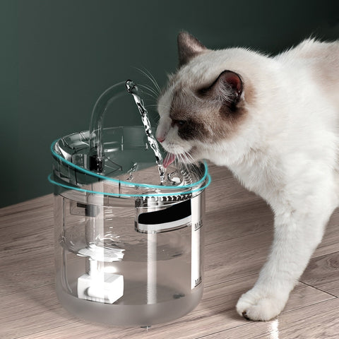 Cat Water Fountain Auto Feeder Filter