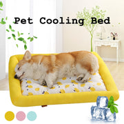 Dog Summer Cooling Bed