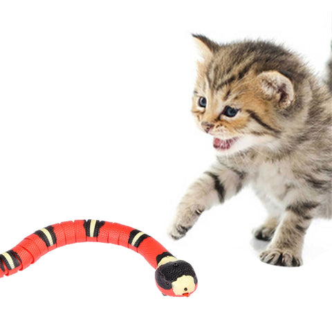 Cat Smart Sensing Snake Toy - The Savvy Pets