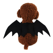 Bat Wings Cat Costume - The Savvy Pets