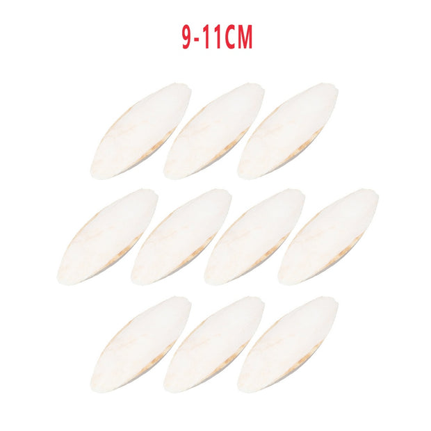 10Pcs Cuttlefish Bone For Parrot Toys