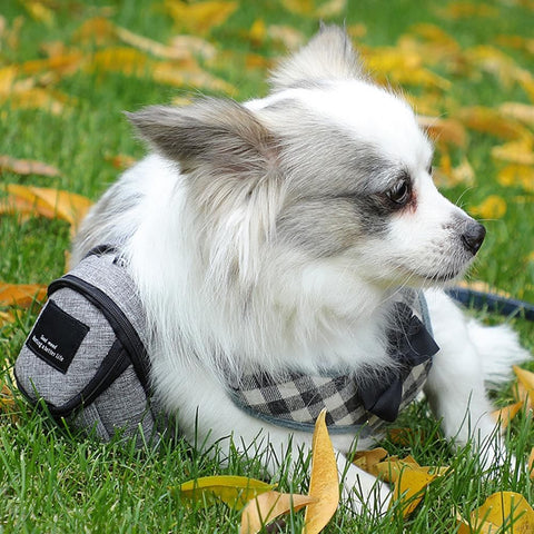 Zipper Closure Waste Organizer - The Savvy Pets