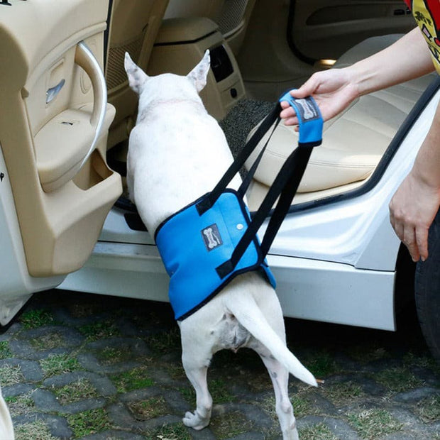 Canine Aid Support Harness - The Savvy Pets