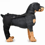 Breathable Hind Leg Bandage - The Savvy Pets