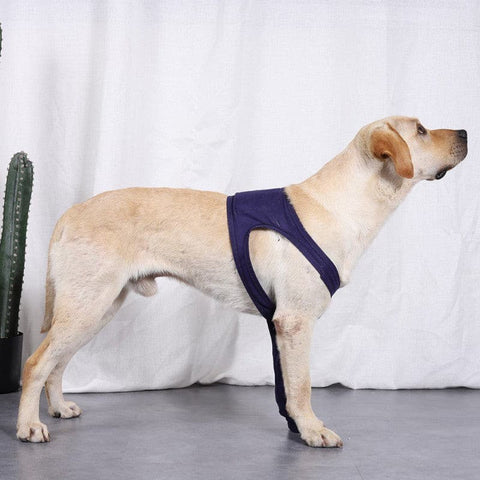 Front Leg Support Brace - The Savvy Pets