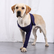 Front Leg Support Brace - The Savvy Pets