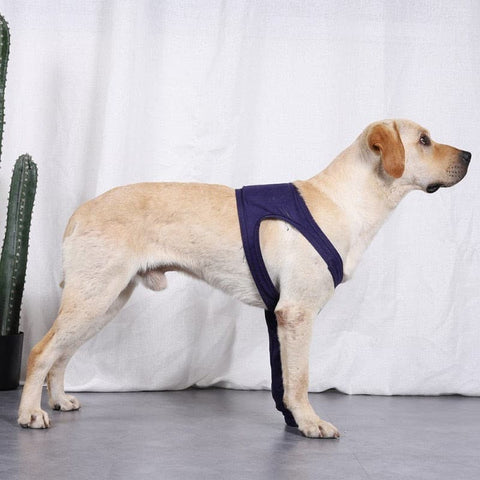 Front Leg Support Brace - The Savvy Pets