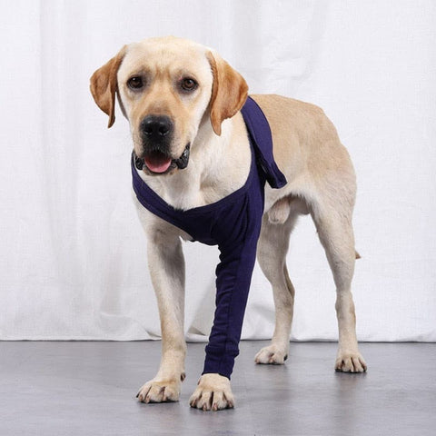 Front Leg Support Brace - The Savvy Pets