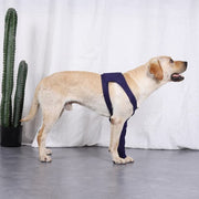 Front Leg Support Brace - The Savvy Pets