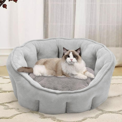 Adorable Sleeping Bed - The Savvy Pets