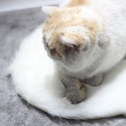 Heating Fur Pad - The Savvy Pets