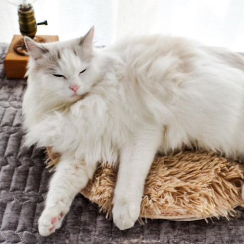 Heating Fur Pad - The Savvy Pets