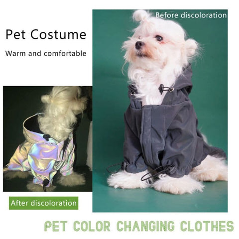 Fashionable Reflective Jacket - The Savvy Pets