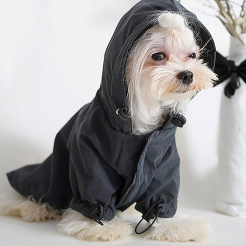 Fashionable Reflective Jacket - The Savvy Pets