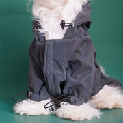 Fashionable Reflective Jacket - The Savvy Pets