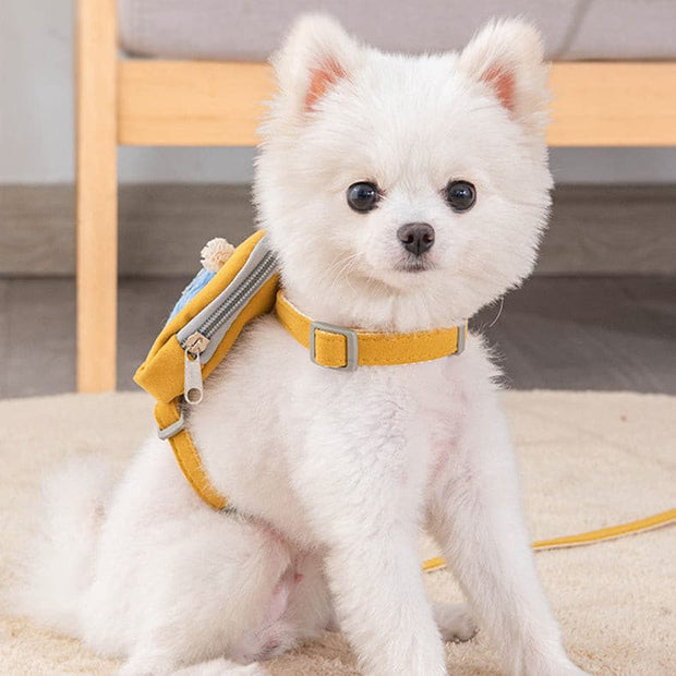 Adorable Pet Harness - The Savvy Pets