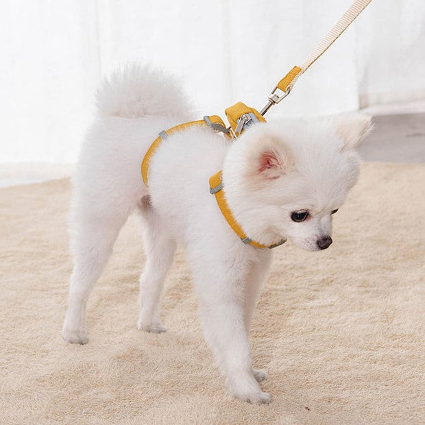 Adorable Pet Harness - The Savvy Pets